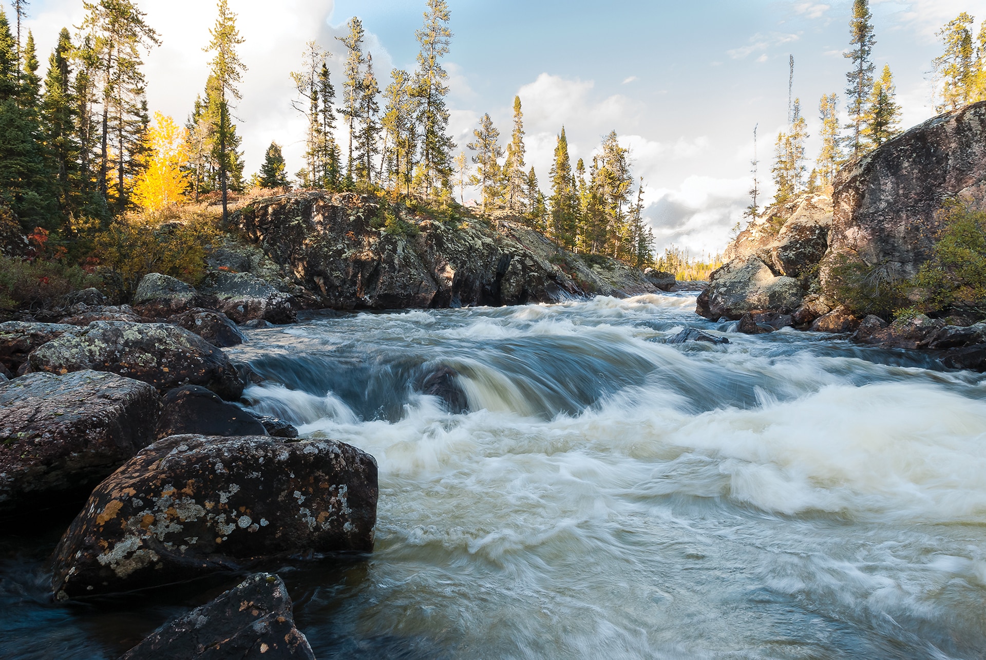 A fast-flowing river with white rapids rushes over rocks, surrounded by tall pine trees and rocky banks under a partly cloudy sky, with hints of autumn foliage in the background.