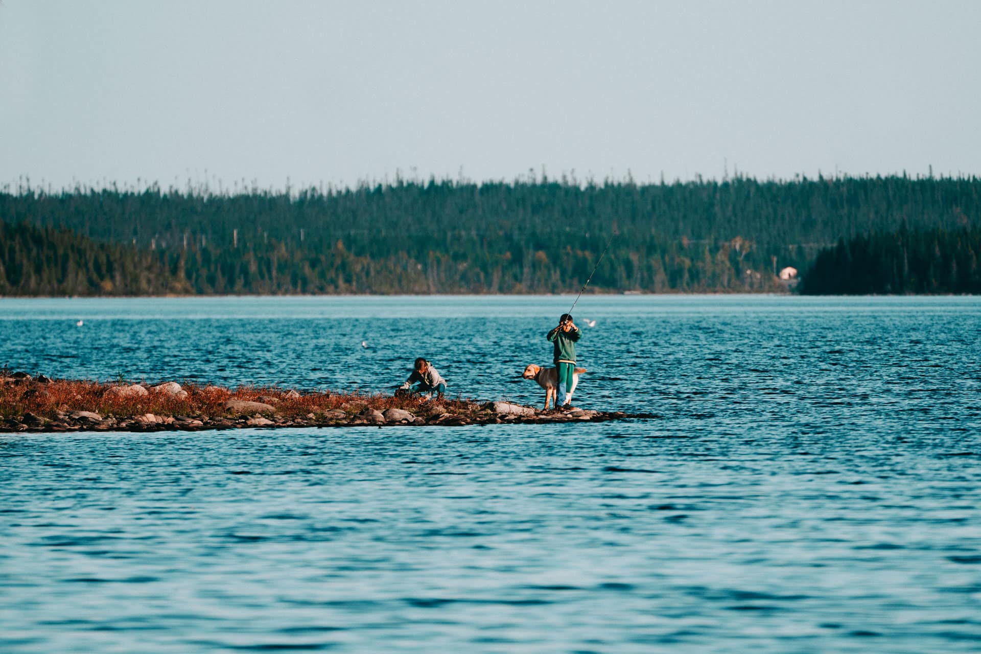 Two people and a dog, like committee members, stand on a small rocky shore beside a large, calm lake with a forested area in the background under a clear sky.