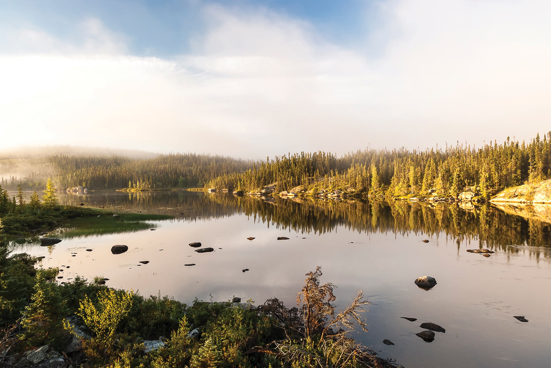 A calm lake surrounded by evergreen trees and rocky shores under a partly cloudy sky, with mist and sunlight creating a serene, natural landscape—perfect for outdoor programmes or tranquil reflection.