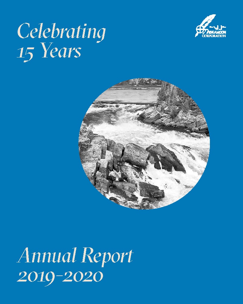 Blue cover of the Annual Report with white text: "Celebrating 15 Years," "Annual Report 2019–2020," and a black-and-white circular photo of a river and rocks. The logo appears in the top right corner.