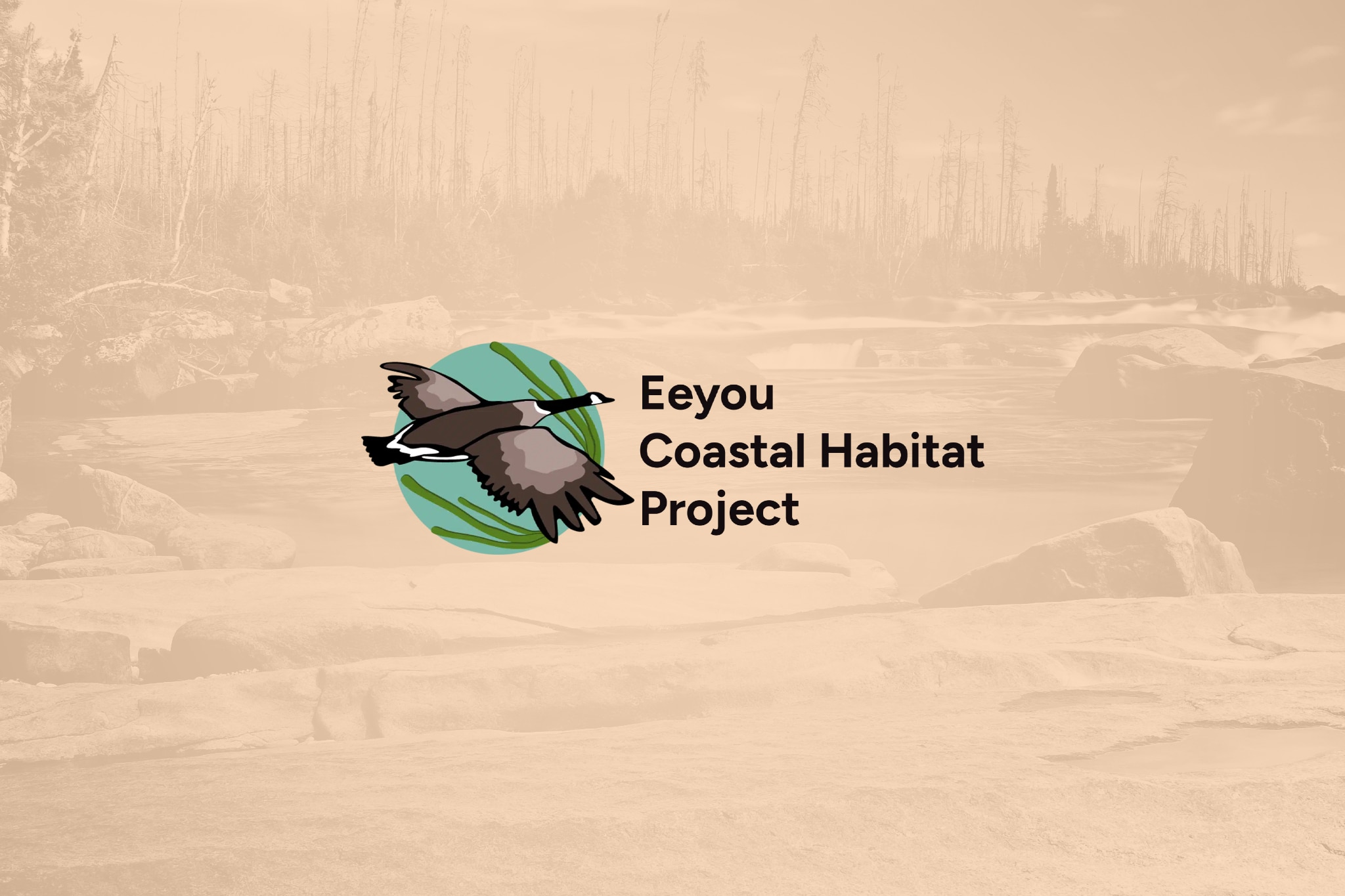Logo for the Eeyou Coastal Habitat Project featuring a flying goose over a green and blue circular background, with a faded forested shoreline and river in the background.